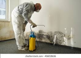 Trusted Round Rock, TX Mold Prevention & Removal  Experts